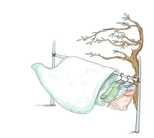 冬天曬被子沒曬對等于白曬，這才是曬被子的正確方式！受用終身