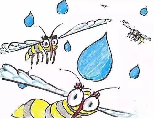 "可以承受的雨滴之重"，當(dāng)雨滴落在了蚊子身上，會(huì)發(fā)生什么