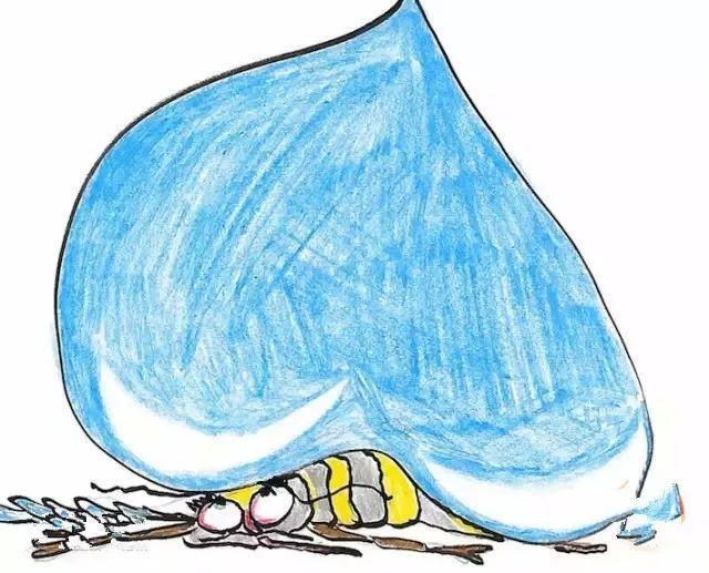 "可以承受的雨滴之重"，當(dāng)雨滴落在了蚊子身上，會(huì)發(fā)生什么