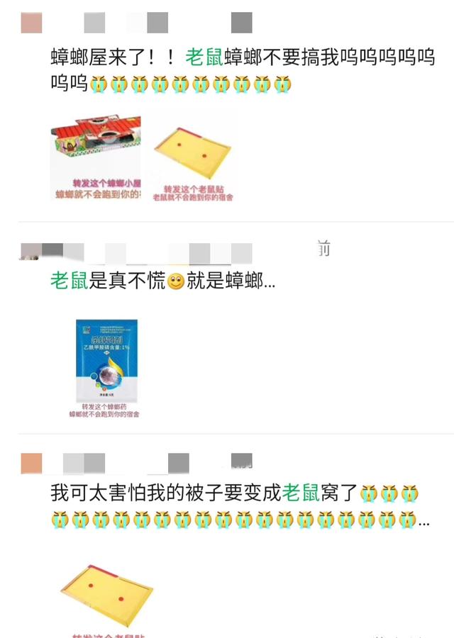 三個月沒住的宿舍變成“鼠舍”，怎么辦？