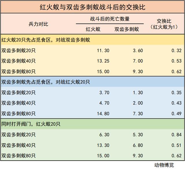 無敵的紅火蟻誰能阻擋？這種黑螞蟻或有希望
