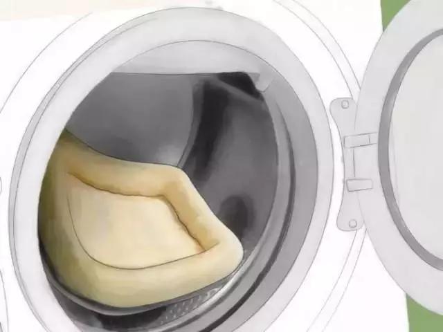 如果發(fā)現(xiàn)家中有跳蚤，只需這樣做，跳蚤就通通不見(jiàn)了