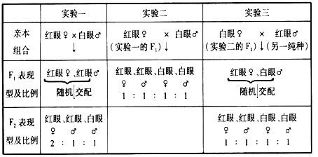 果蠅與科學(xué)丨為遺傳學(xué)做出巨大貢獻(xiàn)的果蠅，如此優(yōu)秀怎么消滅
