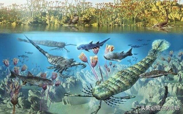 作為恐怖之源的蜘蛛到底從哪里來？淺談螯肢動物進化史