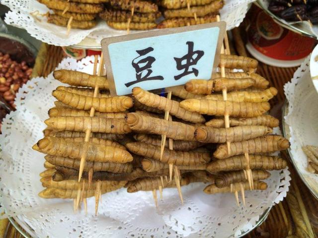 農(nóng)村常見(jiàn)的“豆丹蟲(chóng)”能賣到120元/斤，它有何價(jià)值？
