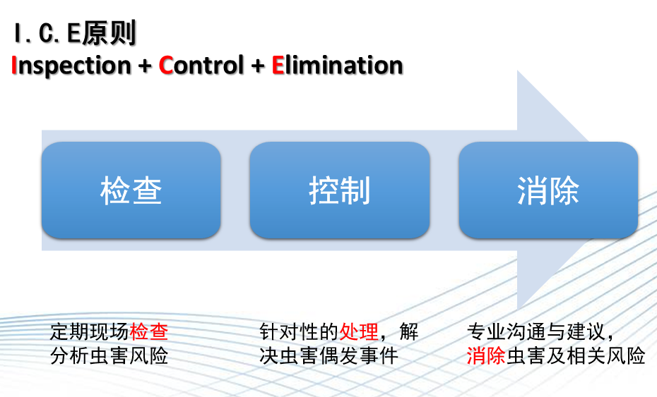 自述｜一個(gè)蟲控人的多年心得