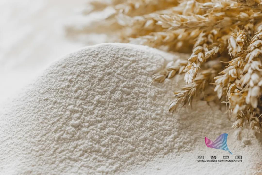 家里的米面為啥憑空出現(xiàn)小蟲？