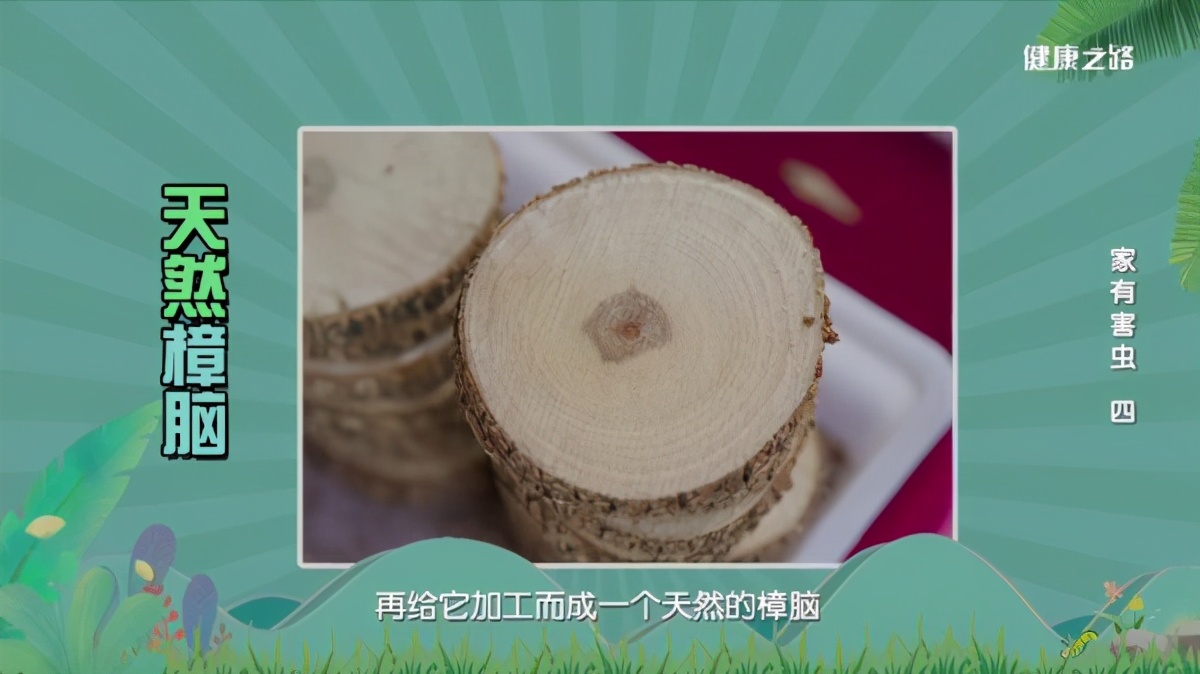 專家這么說：家中出現(xiàn)糧食蛀蟲、衣服蛀蟲不要怕！我們有辦法