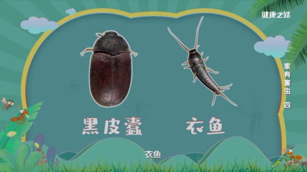 專家這么說：家中出現(xiàn)糧食蛀蟲、衣服蛀蟲不要怕！我們有辦法