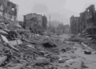 “預(yù)知地震”？昆蟲真的存在這種能力嗎？