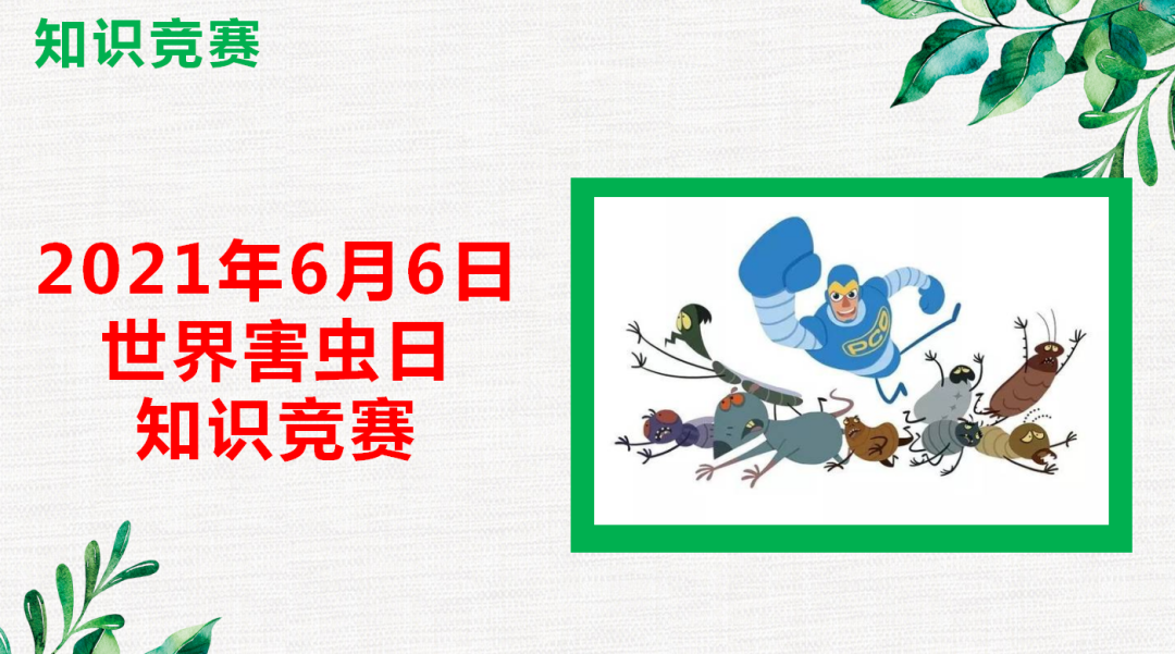 “做好消殺滅，共享好生活”幫幫在行動