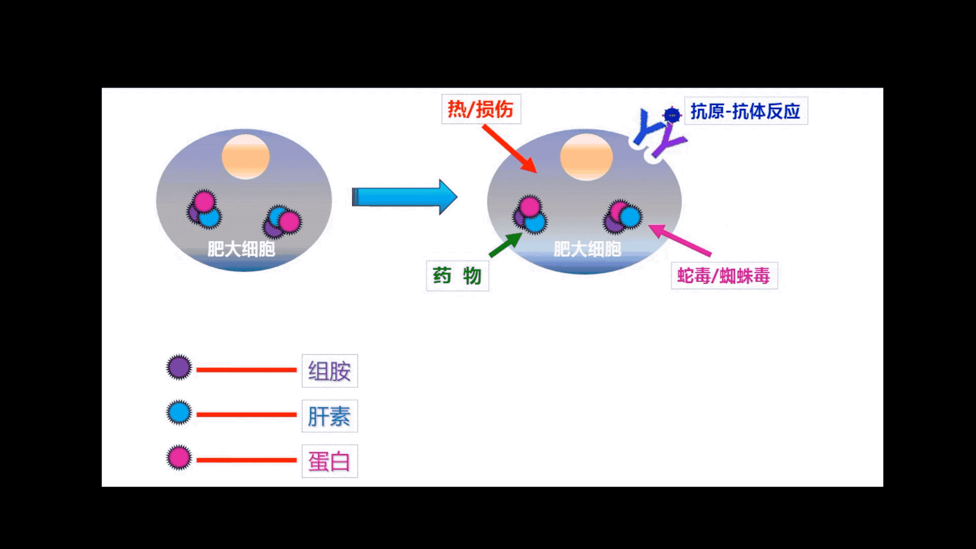 辟謠丨被蚊蟲叮咬后，涂抹唾液非但不能止癢，還有可能會引起感染