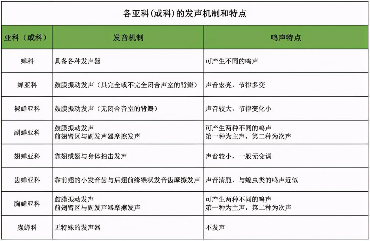為什么天越熱，蟬叫得越厲害？原來(lái)是這個(gè)原因