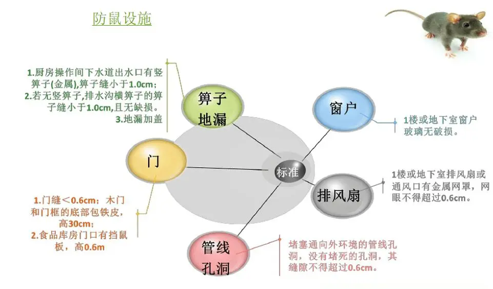 超市型鼠防治工作，你知道嗎？