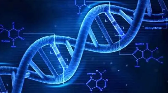 它攜帶“上百種”致命病毒，為何能活的很好？