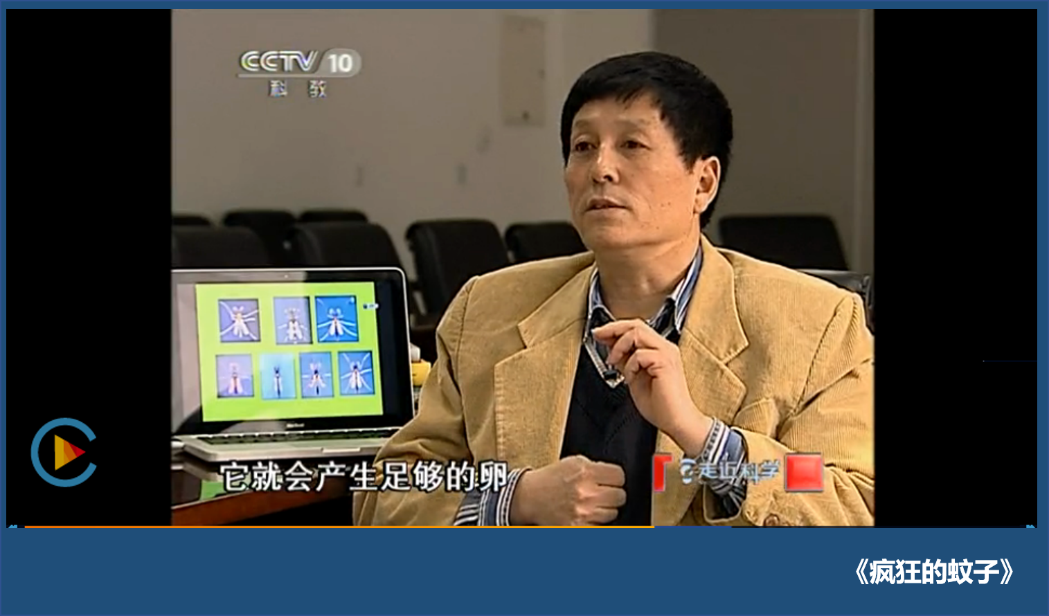 頭頂?shù)摹拔米尤Α?，竟是搖蚊的“相親大會”，讓人又愛又恨的搖蚊