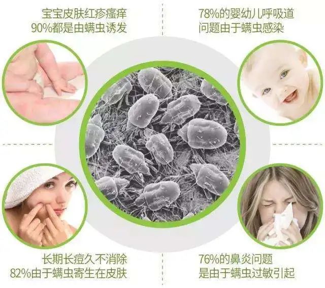 被子不方便曬怎么除螨？曬被子需要曬兩面嗎？