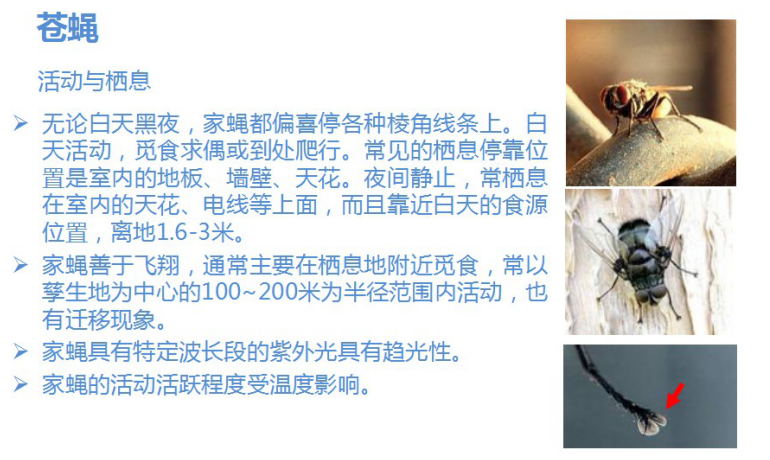 如何制作蟲(chóng)害問(wèn)題反饋報(bào)告（附完整版案例介紹）