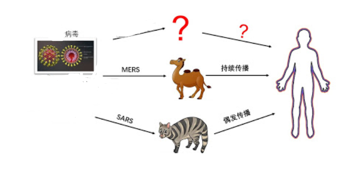 太反常了！四川德陽(yáng)出現(xiàn)大量蝙蝠，黑壓壓一片，是災(zāi)難前兆嗎？