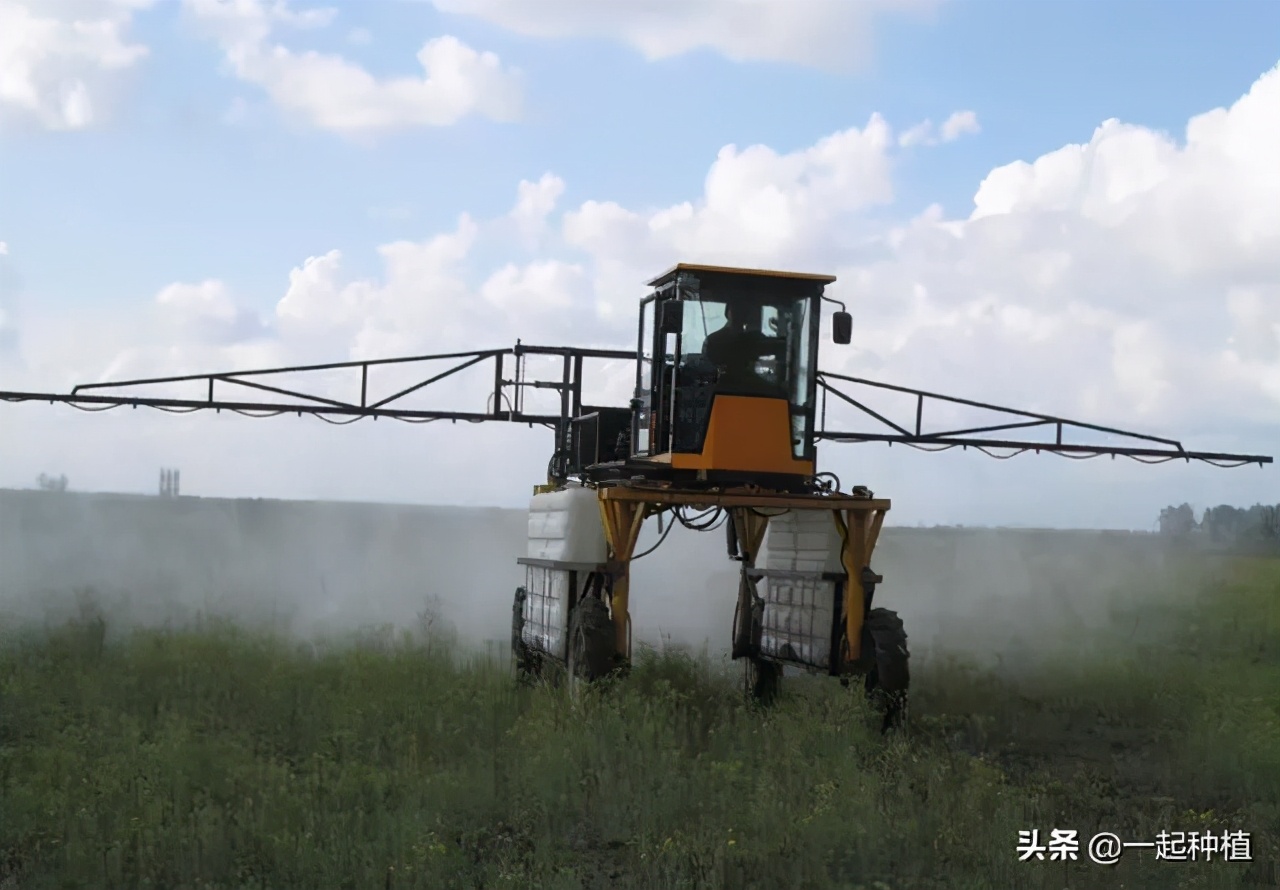 白粉虱最怕什么？