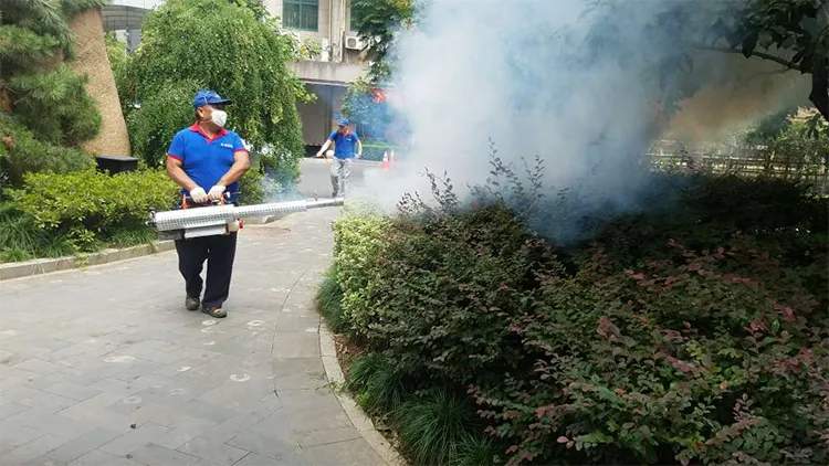 這些常見家庭蟲害，怎么處理？