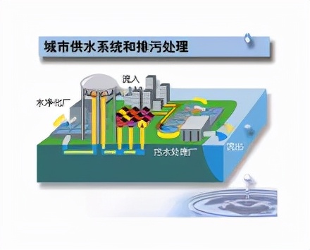 暴雨過后，蟲媒傳染病易流行？如何防控？