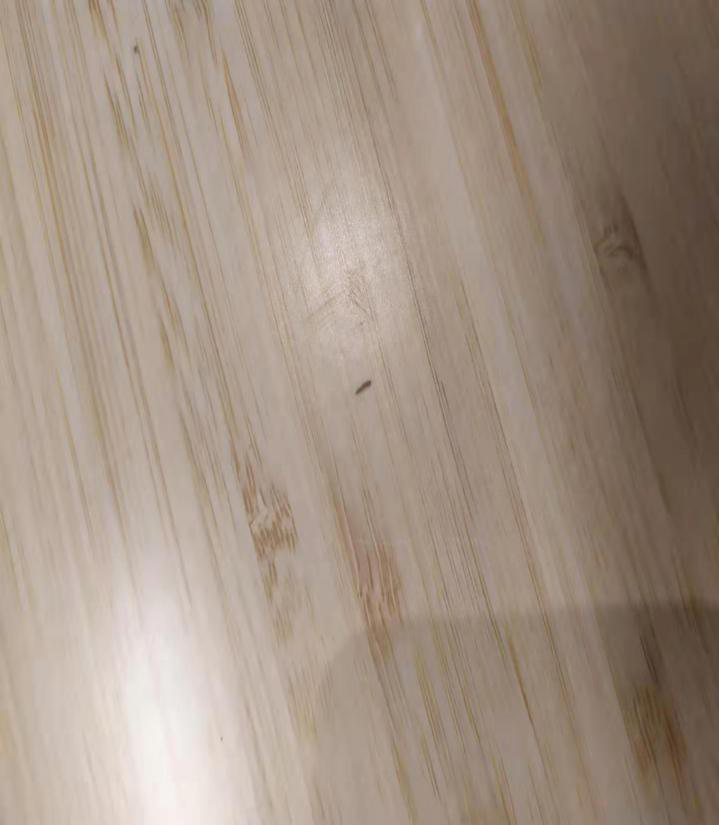 藏在木質(zhì)家具里的蟲子是什么？要怎么消滅？
