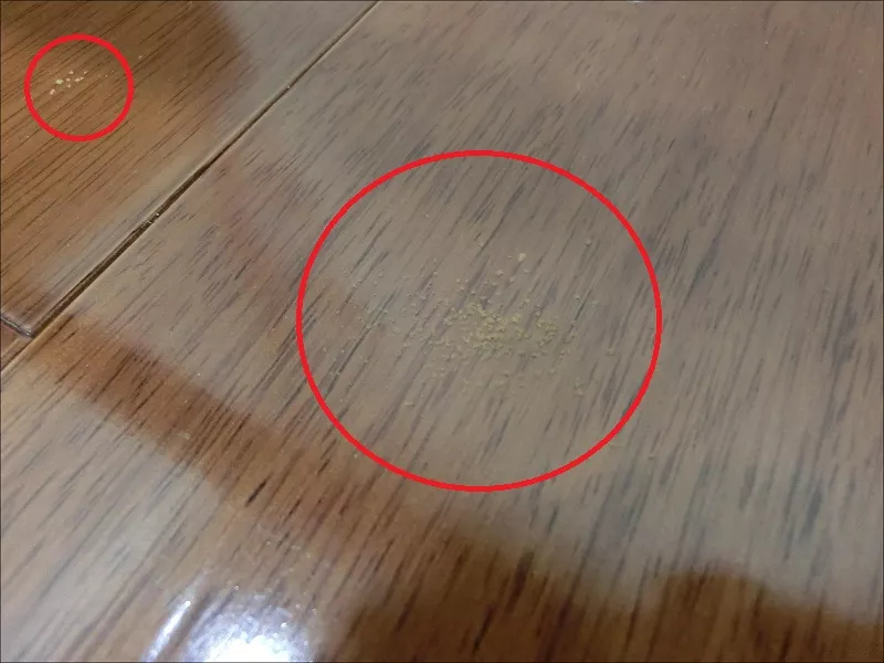 藏在木質(zhì)家具里的蟲子是什么？要怎么消滅？