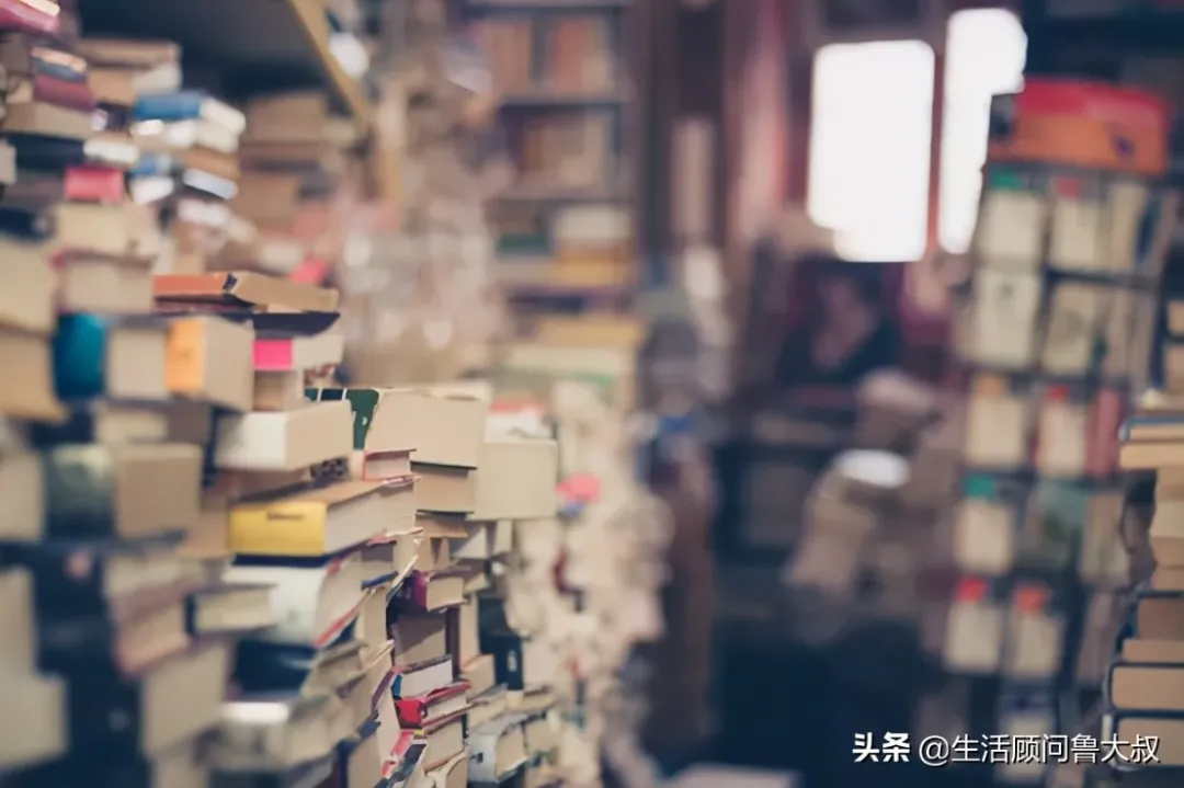 家里有蟲子怎么辦？是什么吸引了它們？