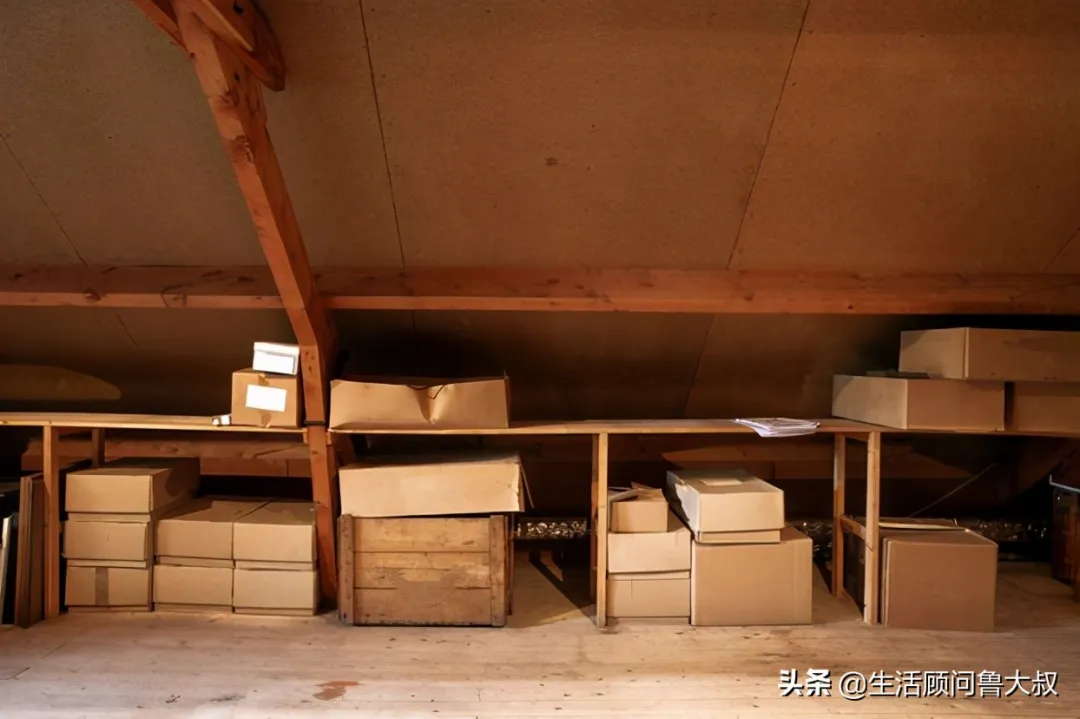 家里有蟲子怎么辦？是什么吸引了它們？