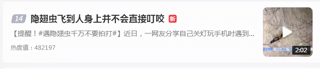 別再關(guān)燈玩手機(jī)了！這種蟲(chóng)會(huì)毀容！切記不要拍......