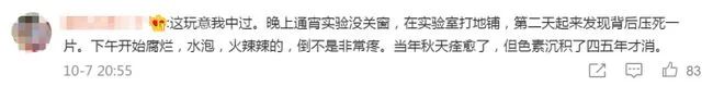 別再關(guān)燈玩手機(jī)了！這種蟲(chóng)會(huì)毀容！切記不要拍......