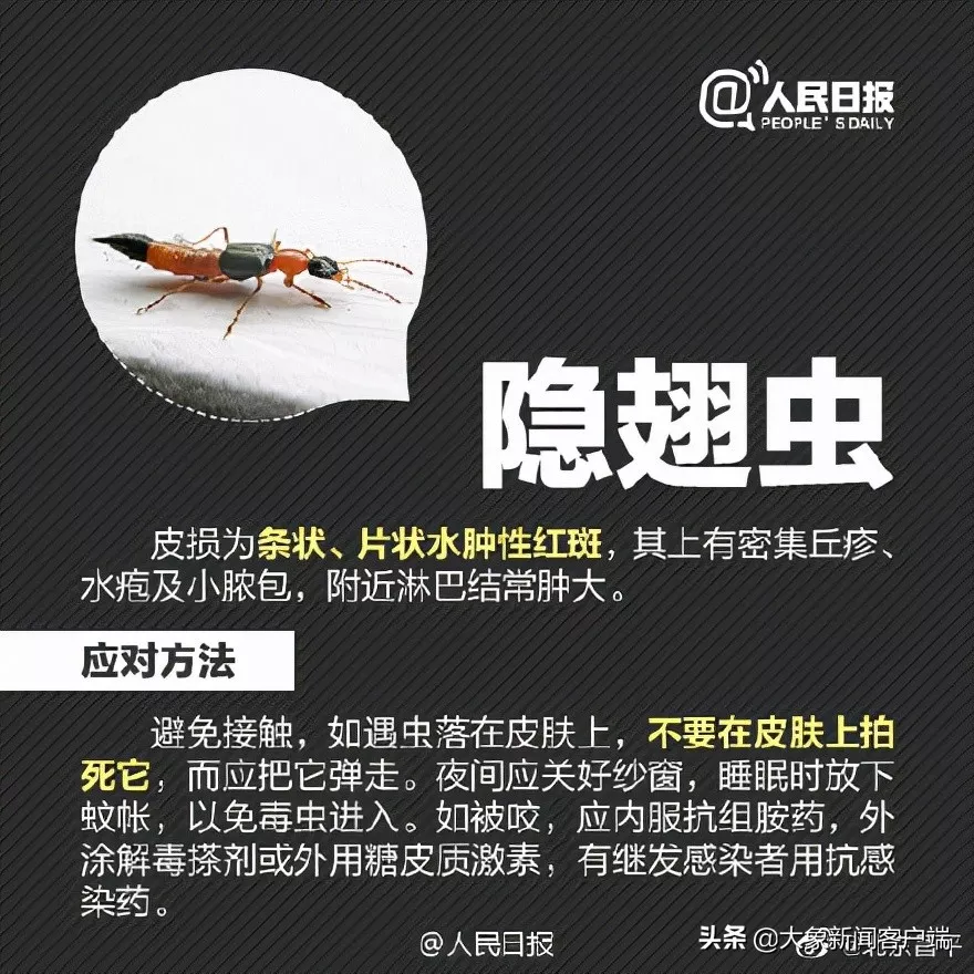 別再關(guān)燈玩手機(jī)了！這種蟲(chóng)會(huì)毀容！切記不要拍......