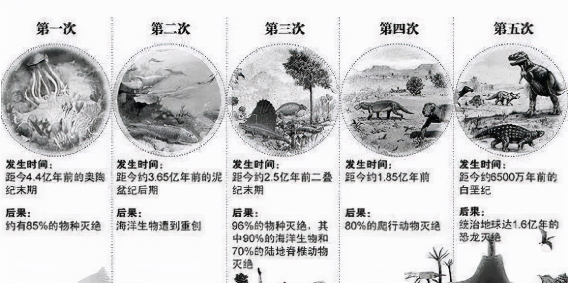你根本殺不死蟑螂？