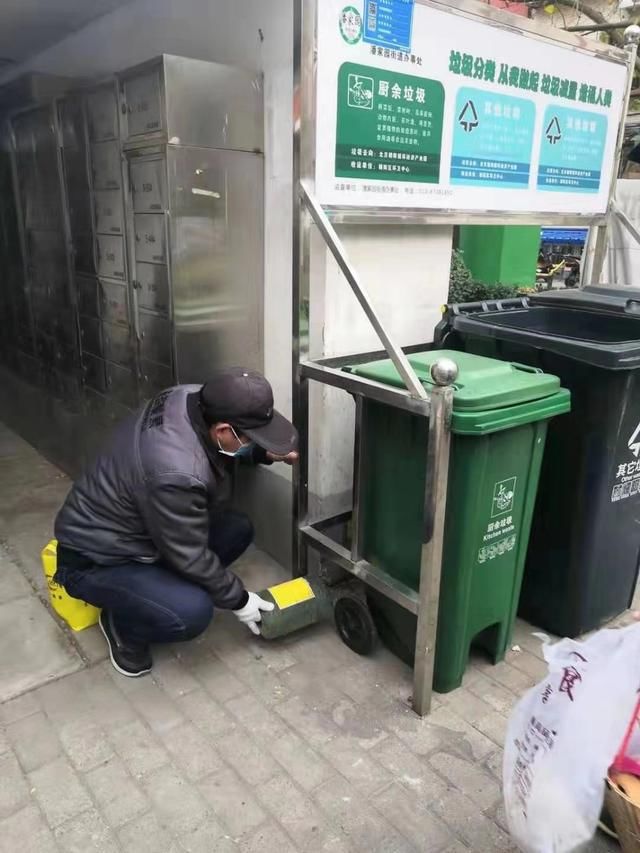 冬季最佳防鼠滅鼠方法你掌握了嗎？