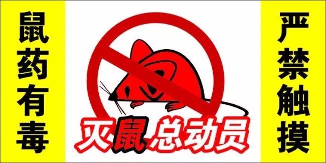 冬季最佳防鼠滅鼠方法你掌握了嗎？