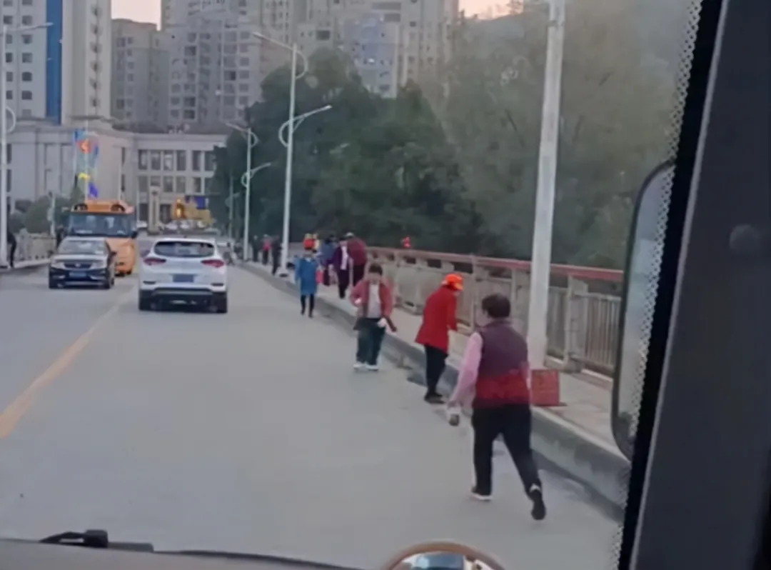 瘋狂！蟾蜍吃了會吐的“臭屁蟲”，這幾十人為何橫穿馬路爭撿？