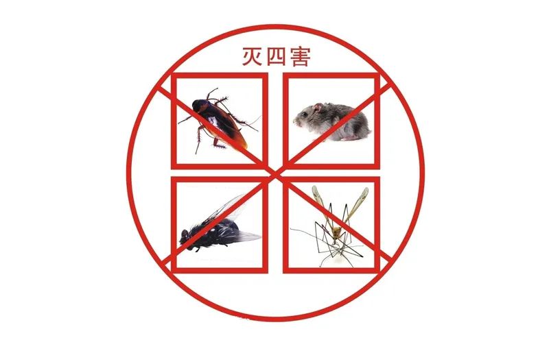 小區(qū)滅四害，有哪些潛在因素？