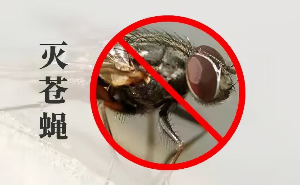 小區(qū)滅四害，有哪些潛在因素？