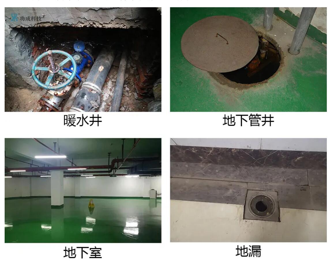 殺滅一只越冬蚊，等于消滅千只蚊二代