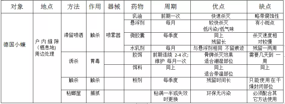 另人聞風(fēng)喪膽的德國小蠊，如何科學(xué)地消滅它